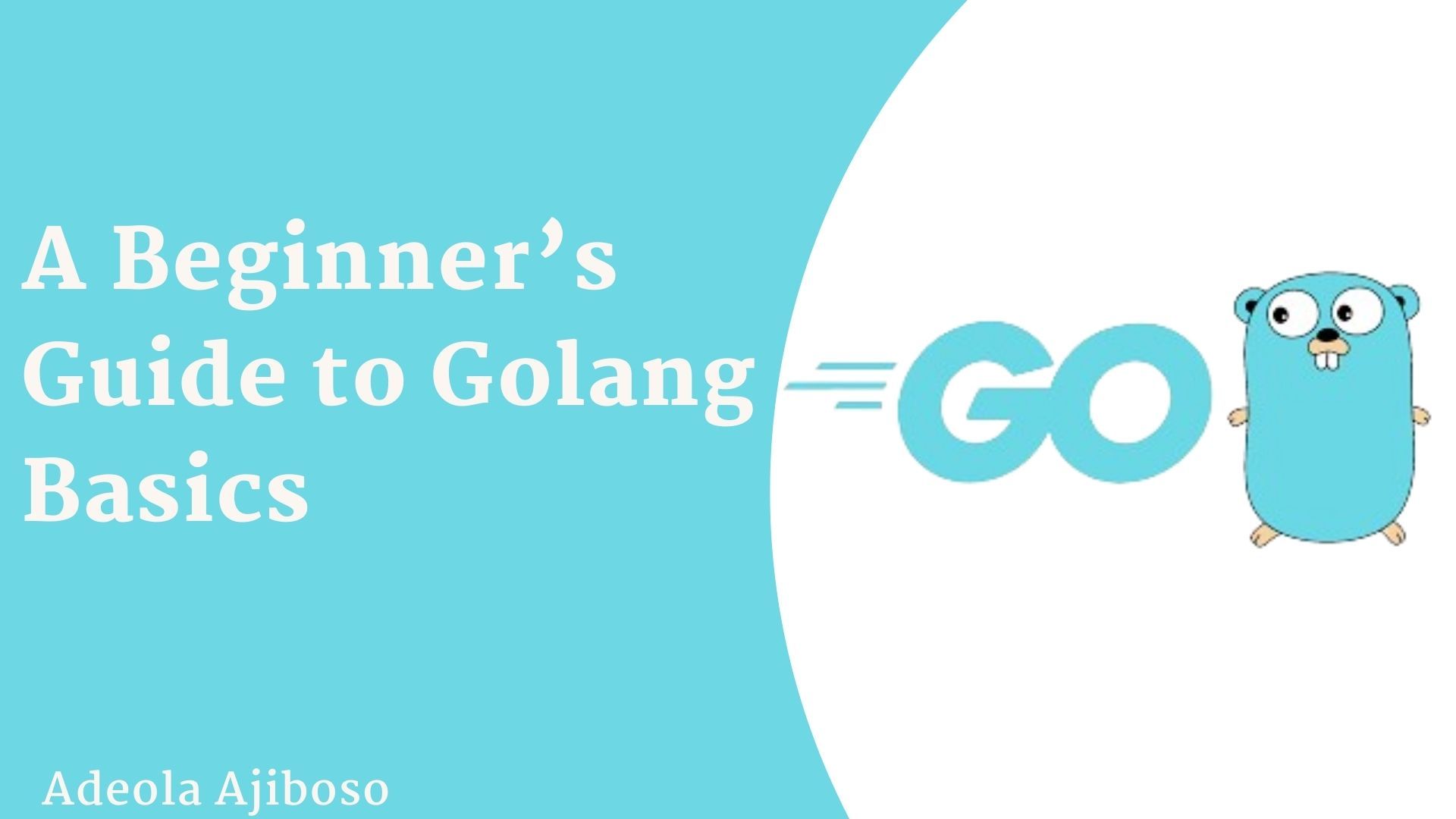 How to Learn Golang – A Beginner’s Guide to the Basics